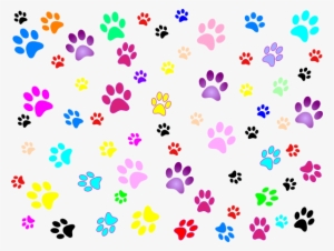 Dog Print Clipart Png Cerca Con Google - Transparent Background Paw Prints Png