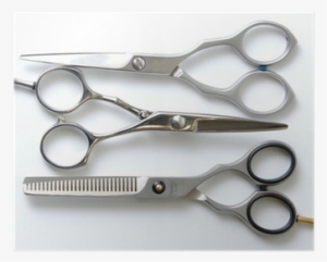 Professional Barber Scissors On White Poster • Pixers® - Scissors