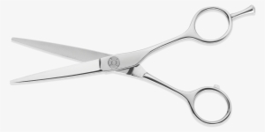 Scissor Anatomics - Scissors