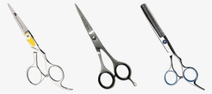 Quadcopter Reviews Best Professional Hair Shears - Mirror