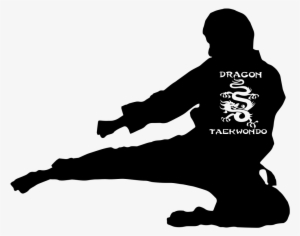 Flying Side Kick Dragon Taekwondo Png Flying Dragon - Silhouette