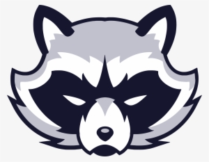 Raccoon Face Logo - Racoon Vector