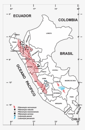 Distribución Geográfica De Pifanomyia Verrucarum, Vector - Carrion's Disease