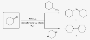 The Reaction Of Substances With Low Boiling Temperatures - Cyclohexanone Reactions