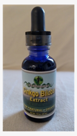 Ginkgo Biloba Extract - Fruit