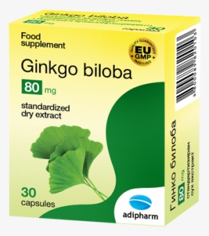 Ginko Biloba Eng Big - Ginkgo Biloba Medicine
