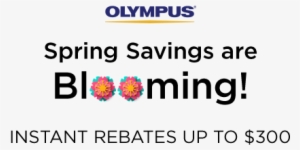 Olympus Spring Sale - Olympus