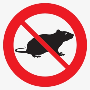 rats and mice spread disease, cause foul odours, and - rats pest control