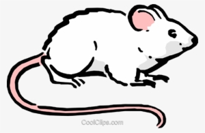 Cartoon Mouse Royalty Free Vector Clip Art Illustration - Ratos Desenho Png