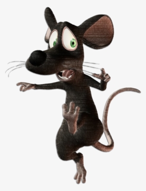 rats are prone to get entangled in others'' affairs - nervous rat
