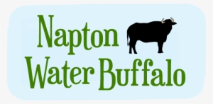 Water Buffalo Napton