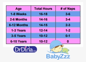 Babyzzz Table 1a - Sleep Patterns For Babies