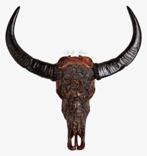 carved buffalo skull - antique