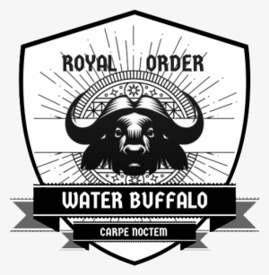 Royal Order Of The Water Buffalo These Are The Exploits