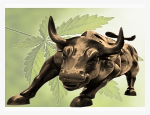 Twitter Updates - Bullish