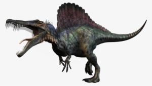 Spinosaurus Animals Dinosaur Reptile - T Rex Spinosaurus Dinosaurs