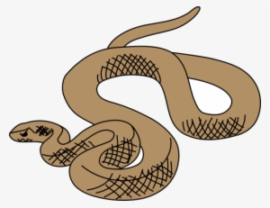 Vector Graphics - Illustration Of A Snake