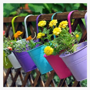 Looking At Plush Greens, Beautiful Flowers And Plants - Hanging Balcony Planter Cheap