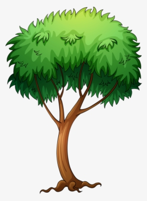 Яндекс - Фотки - Tree Cartoon Png Transparent