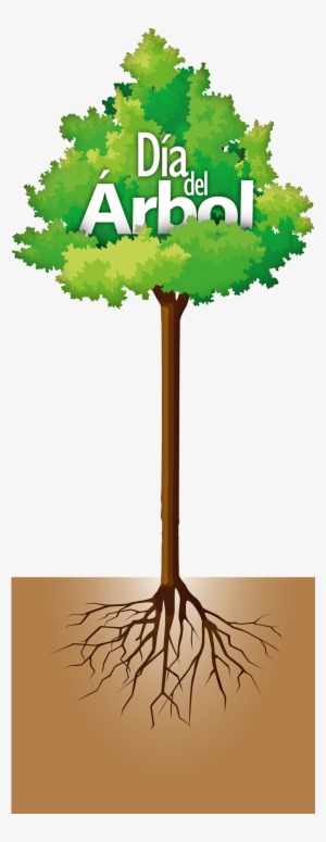 El Primer País Que Instituyó Un Día En El Año Para - Tree Vector