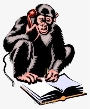 Monkey - Monkey Funny Cartoon Hd