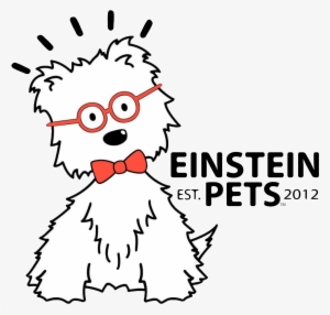 Einstein Pets 1075-4107 All Na