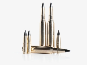 Very Accurate 3 Piece Armour Piercing Bullet For Protected - Bullet