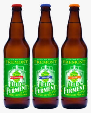 22oz Bottle - Bottle