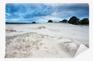 Drents-friese Wold