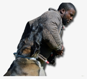 Police Dog