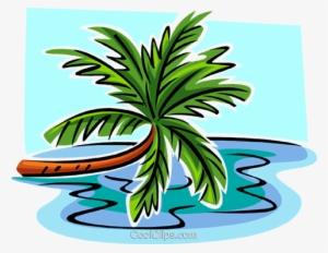 leaning palm tree royalty free vector clip art illustration