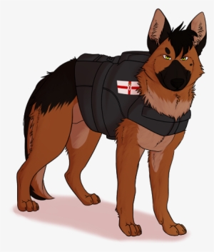 Ace The Police Dog - Old German Shepherd Dog