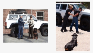 Attention Police K-9 Division Supervisors And/or Officers - Police Dog