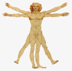 Portale Leonardo Da Vinci - Homo Erectus De Leonardo Da Vinci