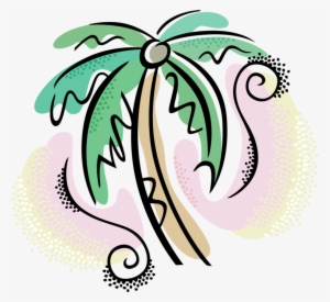 Vector Illustration Of Arecaceae Palm Tree With Coconuts - Palm Tree Clip Art