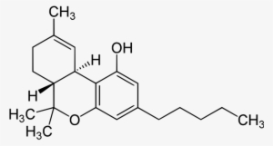 Delta 9 Tetrahydrocannabinol