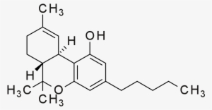 File - Thc Structure - Svg - Delta 8 Tetrahydrocannabinolic Acid