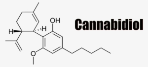 Cbd User's Manual - Cannabis Molecule Laptop Decal- Macbook Ipad Computer-