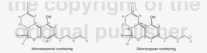 Chemical Structure Of Tetrahydrocannabinol , The Main - Tetrahydrocannabinol