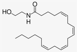 Chocolate, Cannabis Or Enlightenment - Anandamide Molecule