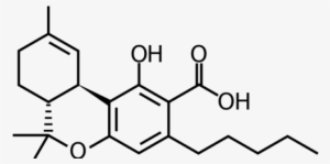 cannabis in molecules - molecule for thc