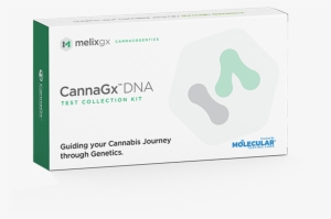 Cannabis Dna Test - Dna