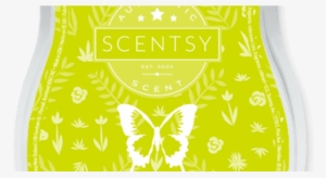 Pineapple Archives Rachs Scent Obsession Png Pineapple - New Scentsy Wax Bar - Bright & Cheery