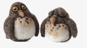 Screech Owl Babies - Screech Owl