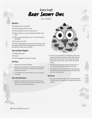 Baby Snowy Owl - Snowy Owl