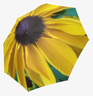 Looking Down The Black Eyed Susan Foldable Umbrella - Sunflower