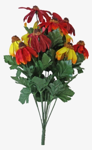 18" Black Eyed Susan ~ Red Mix - Parlour Maple