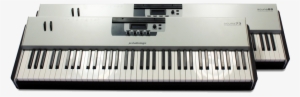 Estas Teclas Han Sido Más Bien Conocidas En Los Modelos - Studiologic Acuna 73 Keyboard Controller