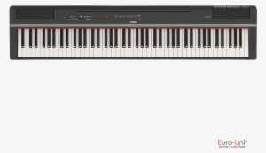 Del Producto - Yamaha P125 Digital Piano