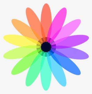 Infrequent Group Ivs Logo - Transparent Background Black Flower Transparent